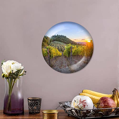 Disaoodank Decorative Plates Tuscany Vineyards Sunset Olive Fields Pictures Wall Decor Ceramic Ornament With Display Stand And Hook Up For Festival, Parties, Wedding 10", Collector Plate #TOP5