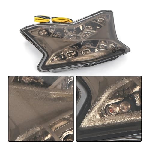 Luz Trasera Universal Moto con intermitentes LED y mica blanca 6
