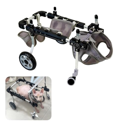 yʌԈ֎q ߉\4փA~LpԈ֎qiʋCbVtjTCY(M)