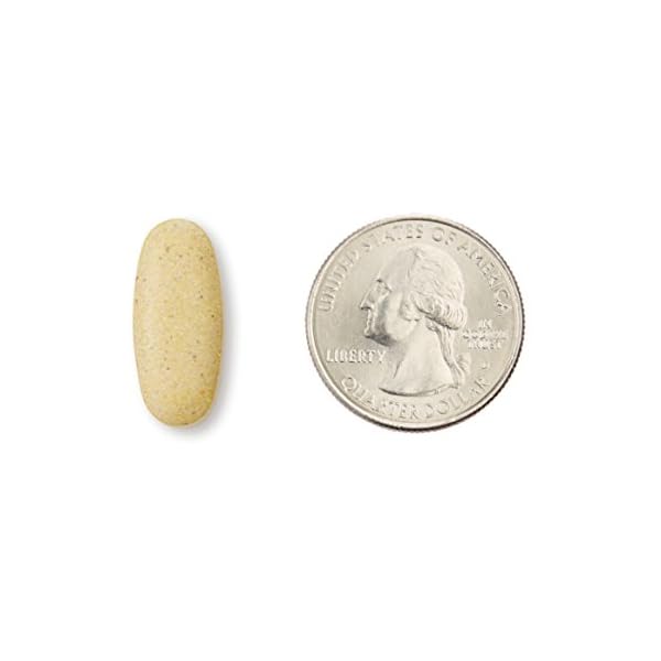 Amazon-Elements-Mens-One-Daily-Multivitamin-62-Whole-Food-Cultured-Vegan-65-Tablets-2-month-supply-Packaging-may-vary Amazon Elements Men’s One Daily Multivitamin, 62% Whole Food Cultured, Vegan, 65 Tablets, 2 month supply (Packaging may vary)