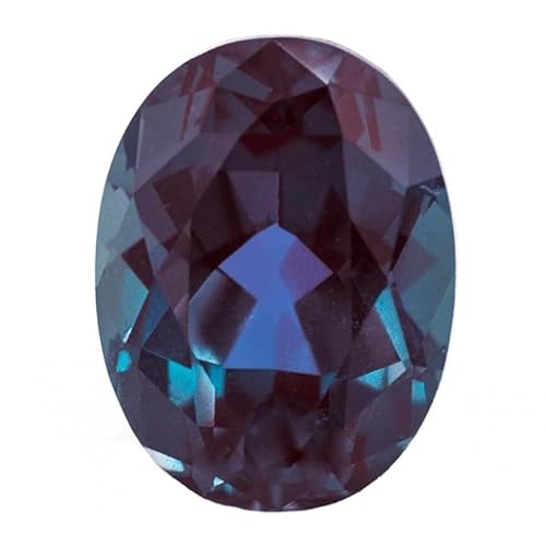 Ch 5.25 X[p[GNZgAaa+ ]ALT_[J[`FWALThCgXg[IWiF胋[XWFXg[-B0CV9Z5QTM