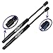 Two Rear Trunk Lid Gas Charged Lift Supports For 01-06 Chrysler Sebring, 06-10 Dodge Charger, 01-06 Dodge Stratus Vehicles Without Spoiler Non-Convertible Models. WGS-156-2