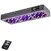 VIPARSPECTRA Timer Control Series VT450 450W LED Grow Light - Dimmable VEG/BLOOM Channels 12-Band Full Spectrum for Indoor Plants