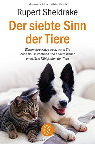 Der siebte Sinn der Tiere: Warum Ihre Katze weiß, wann Sie nach Hause kommen und andere bisher uner Der siebte Sinn der Tiere: Warum Ihre Katze weiß, wann Sie nach Hause kommen und andere bisher uner