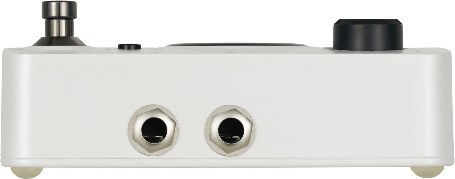 MOOER GL100
