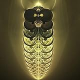 Firefly