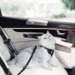 Cat Harness and Leash for Walking, Cat Car Harness, Escape Proof Soft Adjustable Vest Harnesses for Cats, Easy Control Breathable Reflective Strips Harness, Kitten Harness and Leash Set, Black, S - Image 4