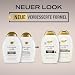 OGX Coconut Milk Shampoo 385 ml, feuchtigkeitsspendendes Haarshampoo mit Rizinusöl und Kokosöl für geschmeidiges, glattes und glänzendes Haar mit LipiPro Shield Technologie