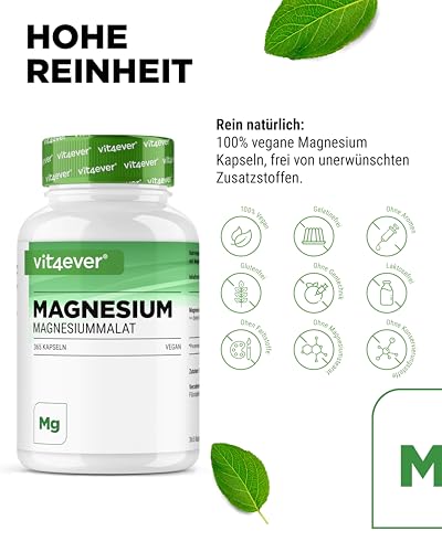 vit4ever Magnesium Malat - 365 Kapseln - 2000 mg davon 300 mg elementares Magnesium je Tagesportion - 4 Monatsvorrat - Hochdosiertes Magnesiummalat - Ohne Zusätze - Vegan