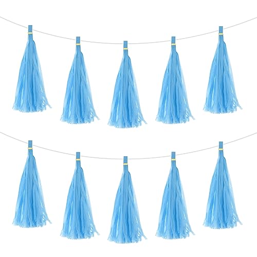 MECCANIXITY 30Pcs Sky Blue Tassel Garland Banner with Rope Tissue Paper Tassels Party DIY Kits for Anniversary Wedding Birthday Party