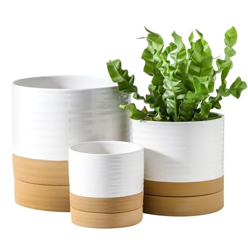Hasense Pots for Plants, 8+6+4.6 Inch Ceramic Plant Pots Indoors with Drainage Hole and Tray, White Planters Set for Outdoor Indoor Plants, Farmhouse Home and Office Decor, Set of 3