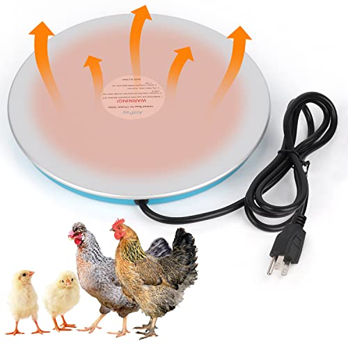 Best Battery Powered Poultry Water Heater 2022 Where to Buy