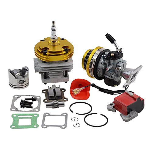 GOOFIT Carburador 19 Minimoto Chino con 44mm Cilindro Motor del Filtro de Aire para Decespugliatore 2 Tiempos 47cc 49cc Scooter Pit Bike ATV Mini Quad Oro