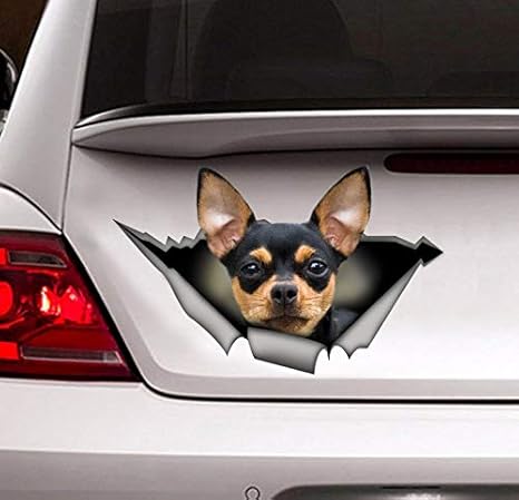 Chihuahua sticker for car Clearance