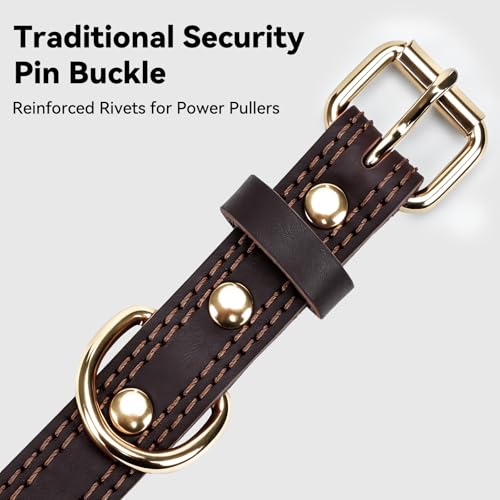 Joytale Hundehalsband Leder, Halsband aus Leder für Große Hunde, Weiches Echtleder Hundehalsband Langlebig und Verstellbar, Braun, XL