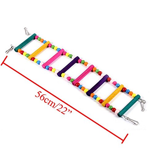 Lesypet disegno Ladder Uccello giocattolo