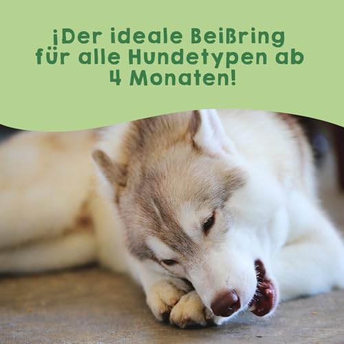 MAIKAI Packung 3 Kauknochen für Hunde L – Käse aus Yakmilch – Hartkäse Kauartikel für Zahnpflege – Langlebiger Kaustab