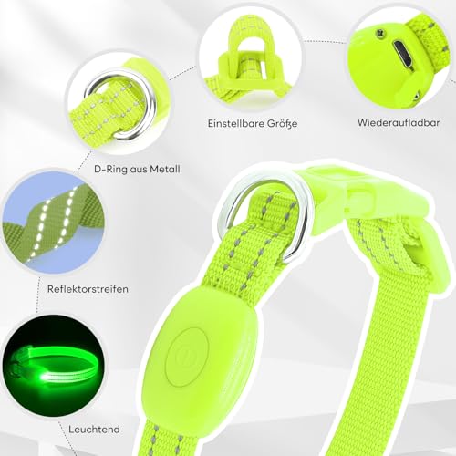 Kpuplol Leuchthalsband Hund, Hundehalsband Leuchtend, Wiederaufladbar Hundehalsband Leuchtend LED Halsband für Hunde Einstellbare Größe, 2 Beleuchtungsmodi für Kleine Mittlere Große Hunde