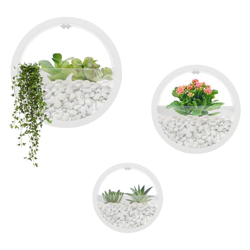 DHQCQL Macetero colgante, jarrones de pared modernos, 3 unidades macetas colgantes para pared, maceta redonda para montaje en pared para plantas de interior, plantas artificiales, flores (blanco)