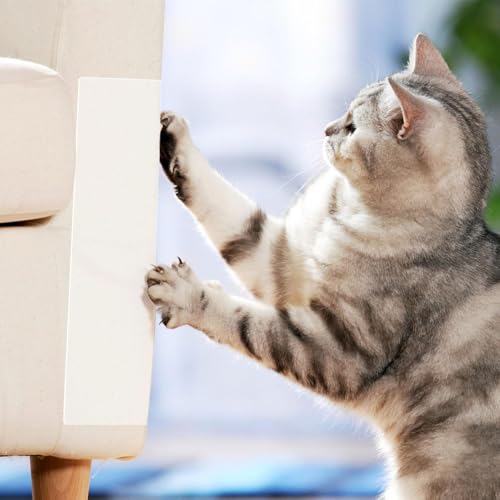 Cinta antiarabatos para gatos antirrayaduras transparente de sofá y pared 4