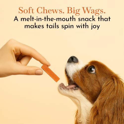 Image of O'Dog Chicken Slice Jerky, Healthy Dog Treats, Chewy Dogs Bites for Training and Feeding, Made with Real Chicken, Non-Vegetarian Pup Snacks for Dogs, Puppies Super Value Pack 420 GMS