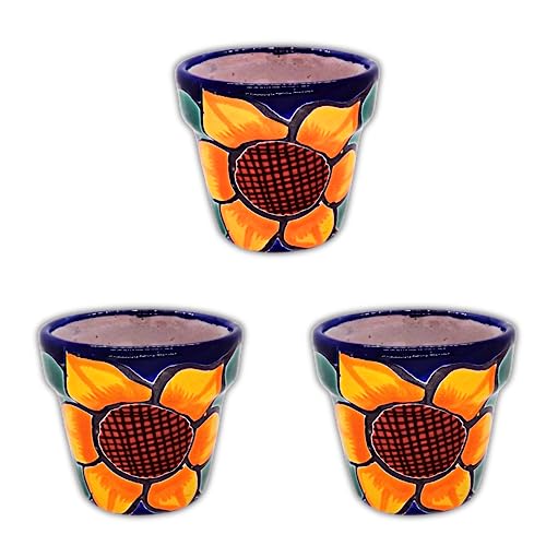 MEXTEQUIL - Mexican Pottery Planters - Set of 3 Pieces - Talavera Pottery - Succulent Pot Planter Flower Hand-Painte (3.1