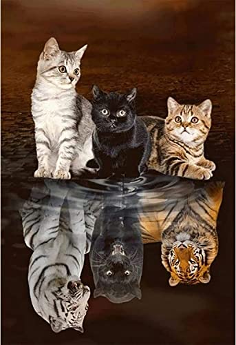 XIATIAN Diamond Art for Adults 5D Diamond Painting Art Kits Adult Cats Tiger Reflections