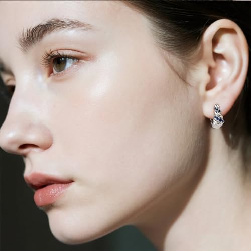 Chunky Hoop Earrings Set, 14K Gold Plated Twisted Huggie Earrings, Hypoallergenic, Gold/Silver3