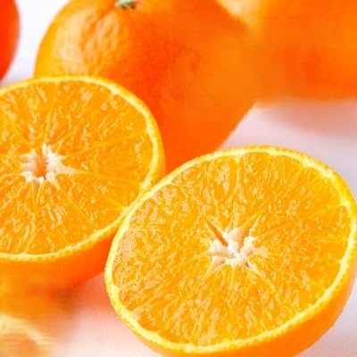 (2026年発送)甘平×まどんな「紅プリンセス」と同品種!愛媛果試48号1.5kg(C25-211)