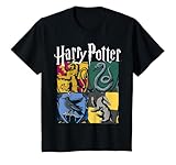 Kids Harry Potter House Crest Panels T-Shirt