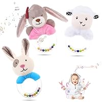 HAGOT 3PCS Baby Soft Rattle Sensory Toys, Baby Rattle Toys 0-12 Months, Newborn Baby Rattle, Teething Ring Plush Toy for Infant Toddler Baby Boys Girls Gift