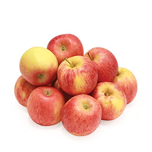 LULU Apple Baby Royal Gala South Africa 1 kg Approx.