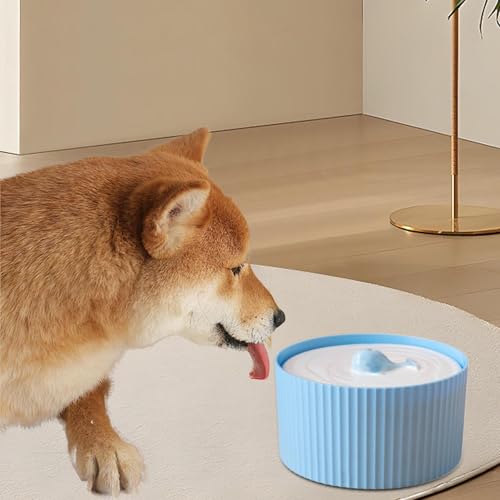 Fontaine à eau pour chat automatique pour s'absenter sereinement