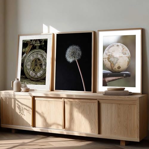 Image of HOTHOUSE Abstract Painting Home Decorative Abstract Wall Art poster With Frame For Living Room Bed Room Hotel Wall Decor Digital Reprint Set of 3 (13X17 inch)