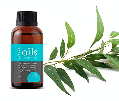 Eucalyptus Essential Oil GLAMZA 100% Pure Eucalyptus Oil - Natural Fragrance Essential Oils for Humidifier, Aromatherapy & Massage (10ml)