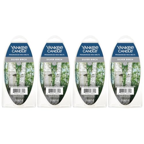 Yankee Candle Scented Wax Melts for Wax Warmers Long Lasting Home Fragrance Odor Eliminating Wax Cubes Silver Birch 6 Count (Pack of 4)