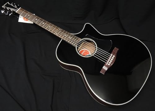 C[Xg} PCH2-GACE-BK -Thermo-Cure tBbV}sbNAbv GNgbN AR[XeBbNM^[ OhI[fBgA GAR ubN