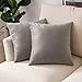 Woaboy 2 Piezas Funda de Cojines de Terciopelo Funda de Almohada Suave Cojines Decorativos Decoración Moderna para Sofá Silla Cama Habitación Oficina Dormitorio 45x45cm Gris