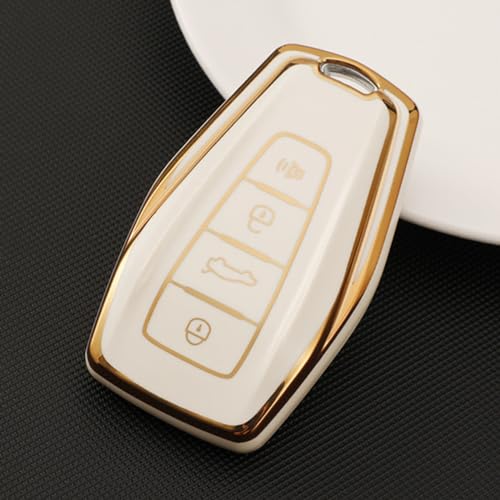 Étui clés de voiture en cuir pour Geely Coolray et Geometry C