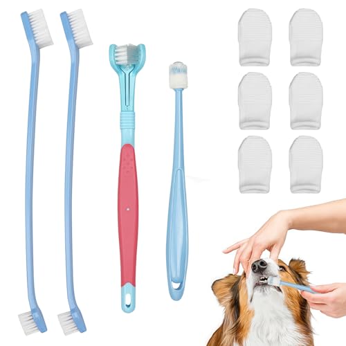 10 Stück Hundezahnbürste Set, 6 Fingerzahnbürste Hund, 1 Dreiseiten- & 2 Doppelkopf-Zahnbürste & 1 Runde Zahnbürste für Vollständige Zahnpflege, für Kleine, Mittelgroße und Große Pet
