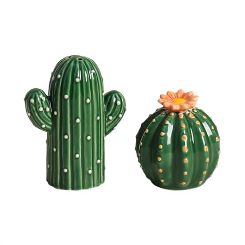 Bicuzat Ceramic Cactus Shape Salt & Pepper Shakers Set, Hand-Painted Cactus Salt and Pepper Shakers, 2 PCS Set