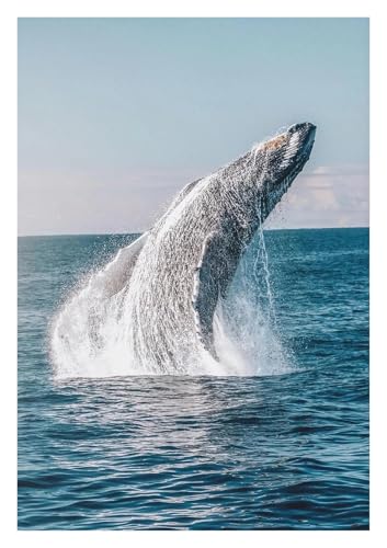 Impression toile requin-baleine LEMST pour habiller un mur vide avec de l'art marin 20x30cm