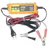  Easyelettronica Cargador Mantenedor Batería Coche y Moto Portátil con Cables 6 V 12 V 1 A