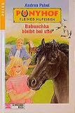  Ponyhof Kleines Hufeisen, Bd.7, Babuschka bleibt bei uns