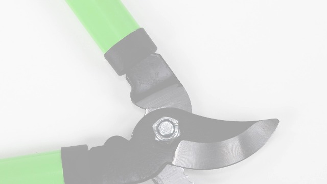 Secateur De Jardin Ciseaux De Jardinage Cisailles De Jardin Jardin Cisailles Élagueurs Jardin