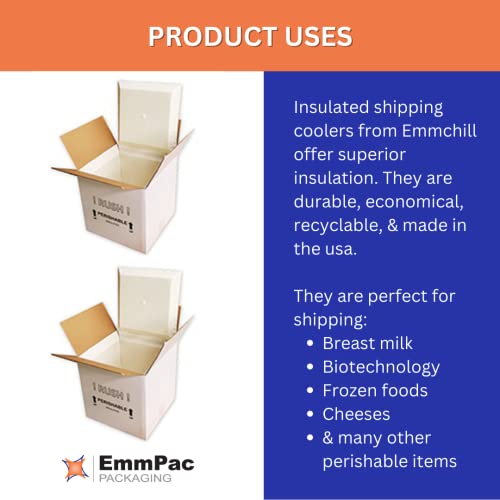 Emmchill Sf11A Ecofriendly Insulated Shipping Cooler, 11" X 9" X 9" (Pack Of 2)(8" X 6" X 6" Inside) #TOP2