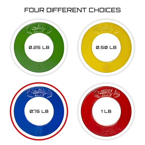 Image of Micro Gainz Calibrated Fractional Weight Plate Set of 2 Plates, Choose Set (.25LB-1.25LB), Designed for Olympic Barbells for Strength Training & Micro Loading Bar Weights, Made in USA