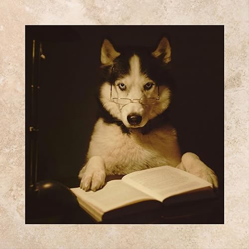Bark Bites Promo
