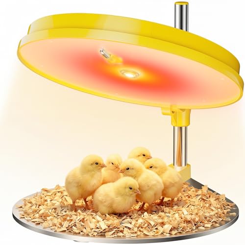 IVJ Plaque Chauffante Poussin avec Lumière LED, 45W Température Réglable Chauffage Poussin, Affichage Numérique Eleveuse Poussin