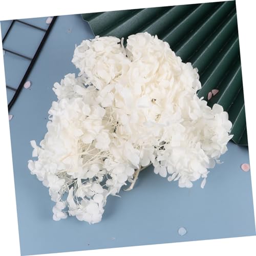 1pack pétalos secos de hortensia blanca para manualidades miniatura 4